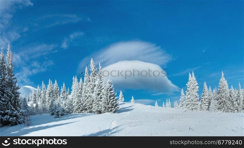 Morning winter mountain landscape with fir forest.