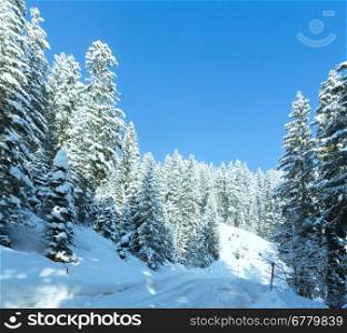 Morning winter mountain landscape with fir forest and alpine road.