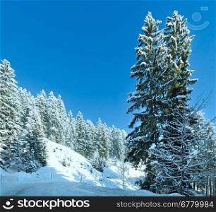 Morning winter mountain landscape with fir forest and alpine road.