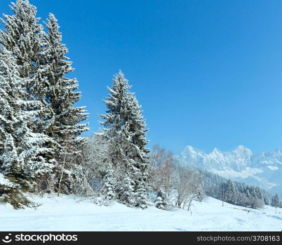 Morning winter mountain landscape with fir forest and country road on slope.