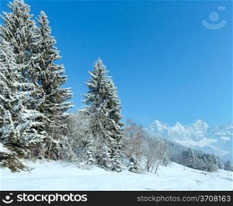 Morning winter mountain landscape with fir forest and country road on slope.