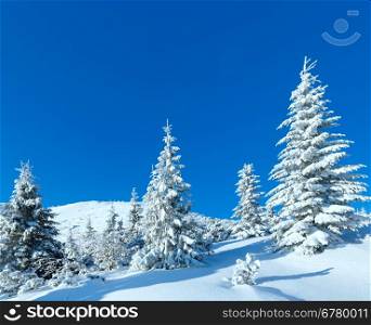 Morning winter mountain landscape with fir trees on slope.