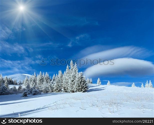 Morning winter mountain sunshiny landscape with fir trees on slope.