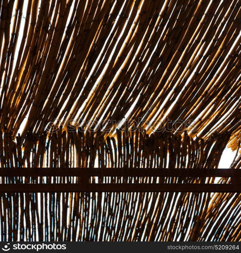 morocco abstract bamboo roof in the africa sky