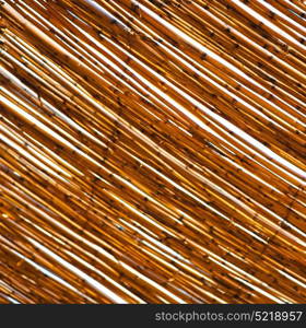 morocco abstract bamboo roof in the africa sky