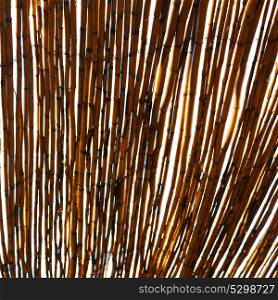 morocco abstract bamboo roof in the africa sky