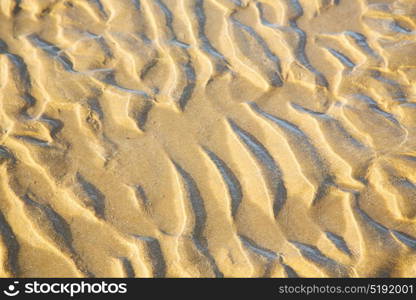 morocco in africa brown coastline wet sand beach near atlantic ocean