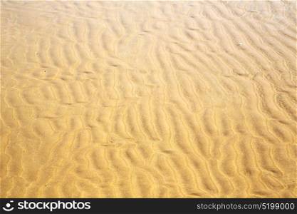 morocco in africa brown coastline wet sand beach near atlantic ocean