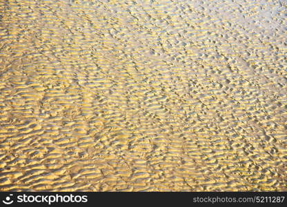 morocco in africa brown coastline wet sand beach near atlantic ocean