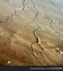 morocco in africa brown coastline wet sand beach near atlantic ocean