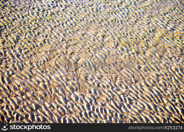 morocco in africa brown coastline wet sand beach near atlantic ocean