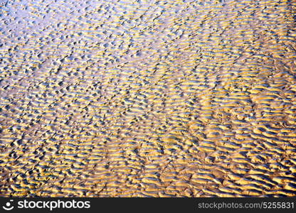 morocco in africa brown coastline wet sand beach near atlantic ocean