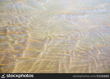 morocco in africa brown coastline wet sand beach near atlantic ocean