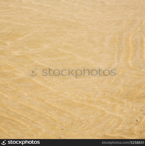 morocco in africa brown coastline wet sand beach near atlantic ocean