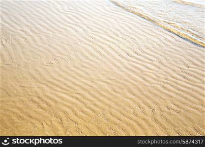 morocco in africa brown coastline wet sand beach near atlantic ocean