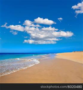 Morro Jable Matorral beach Jandia in Pajara of Fuerteventura at Canary Islands