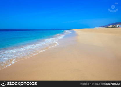 Morro Jable Matorral beach Jandia in Pajara of Fuerteventura at Canary Islands