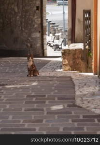 Morro Reatino, historic village in Rieti province, Lazio, Italy