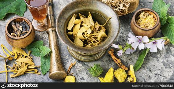 Mortar and bowl of raw and dried healing herbs.Alternative or herbal medicine. Healing medical herbs