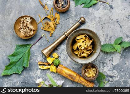 Mortar and bowl of raw and dried healing herbs. Various medical herbs and flowers