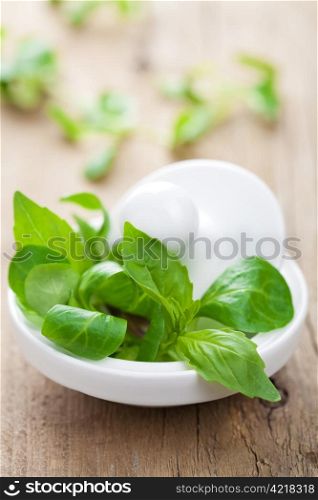 mortar with fresh herbs