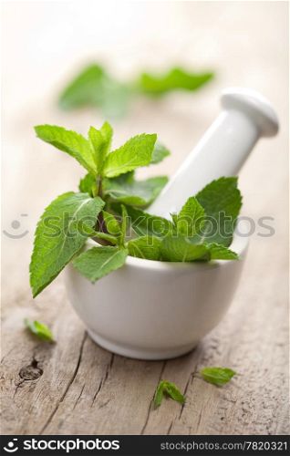 mortar with herbs