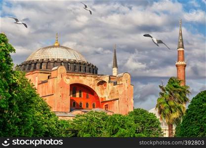 Mosque Hagia Sophia in Istanbul, Turkey. Summer landscape. Mosque Hagia Sophia in Istanbul, Turkey