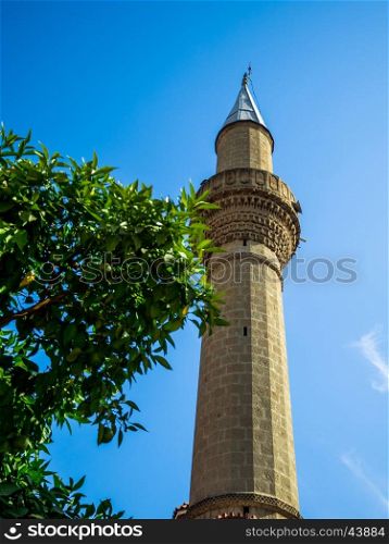 mosque minaret and trees