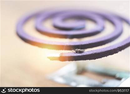 Mosquito repellent concept / Burning mosquito coil is an anti mosquito repellent and dead , selective focus