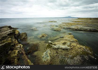 Moss-covered rocks on coastline