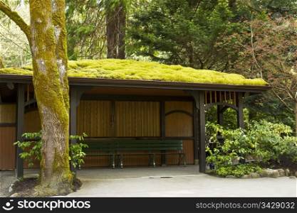 Moss Hut with benches and drinking fountain surrounded by trees