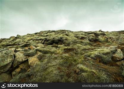 Moss on rocks at a mountain in Iceland