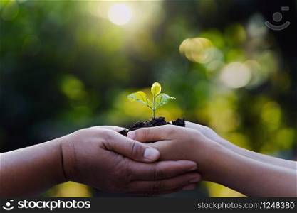mother and child holding young plant with sunlight on green nature background. concept eco earth day
