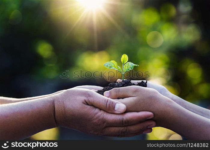 mother and child holding young plant with sunlight on green nature background. concept eco earth day