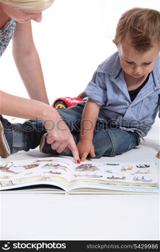Mother and child looking at a book