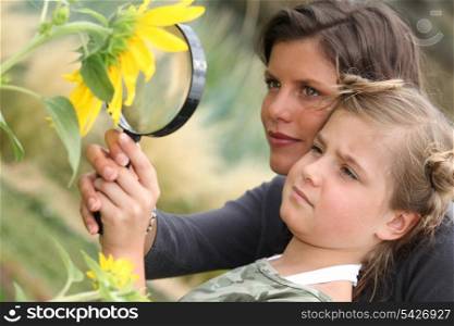 Mother and daughter examining sunflower