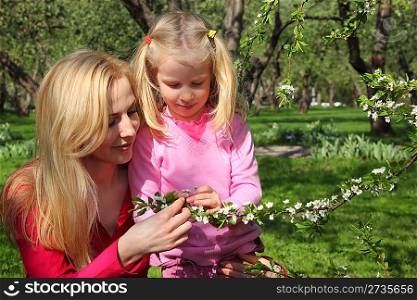 Mother and daughter look at blossoming branch of apple-tree in garden