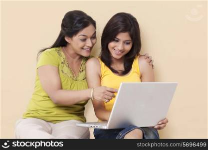 Mother and daughter using computer together