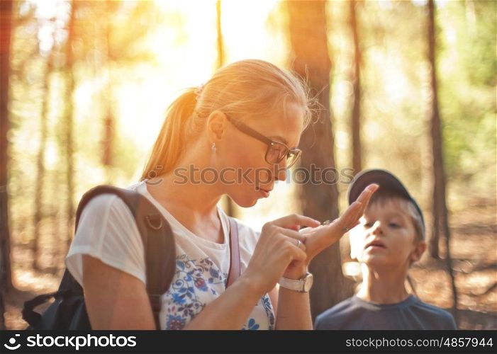 Mother and her little son find lizard in the forest. In the forest