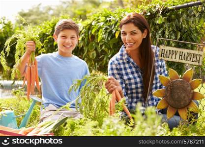 Mother And Son Working On Allotment Together