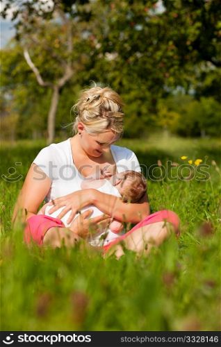 Mother breastfeeding her baby on a great sunny day in a meadow with lots of green grass and wild flowers