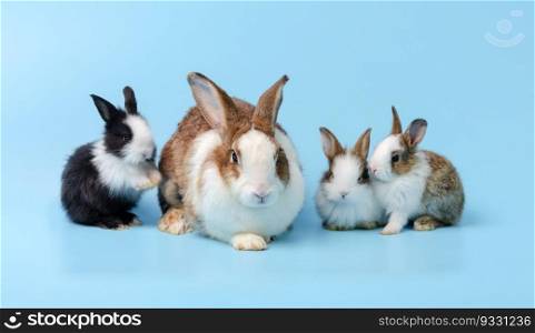 Mother rabbit and three cute bunnies on blue background. Pet animal family concept.