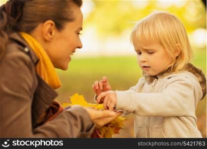 Mother showing baby fallen leaves and chestnuts