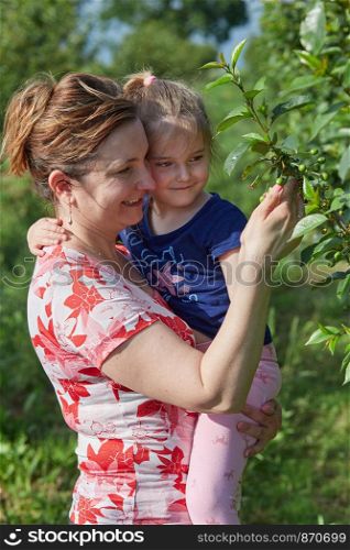 Mother showing her daughter cherries growing in a orchard