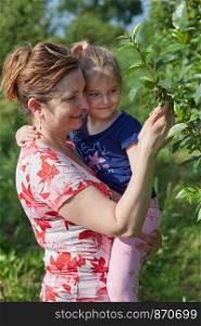 Mother showing her daughter cherries growing in a orchard