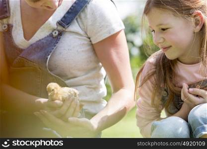 Mother showing small chick to girl at farm