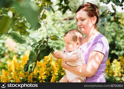 Mother showing the plant in the garden her baby girl. Relaxing outdoors close to nature