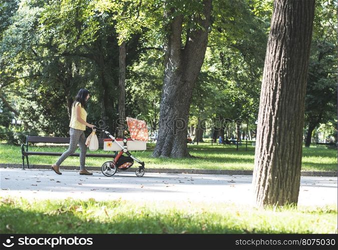 Mother walking in the park with baby buggy. Sunny day