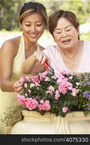 Mother With Adult Daughter Gardening Together