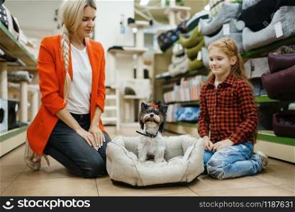 Mother with daughter choosing dog bed for little dog in pet store. Woman and little child buying equipment in petshop, accessories for domestic animals. Mother with daughter choosing dog bed, pet store